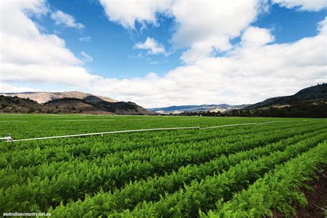 organic farms australia.